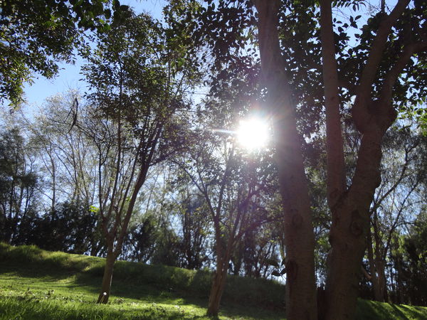 San Luis
