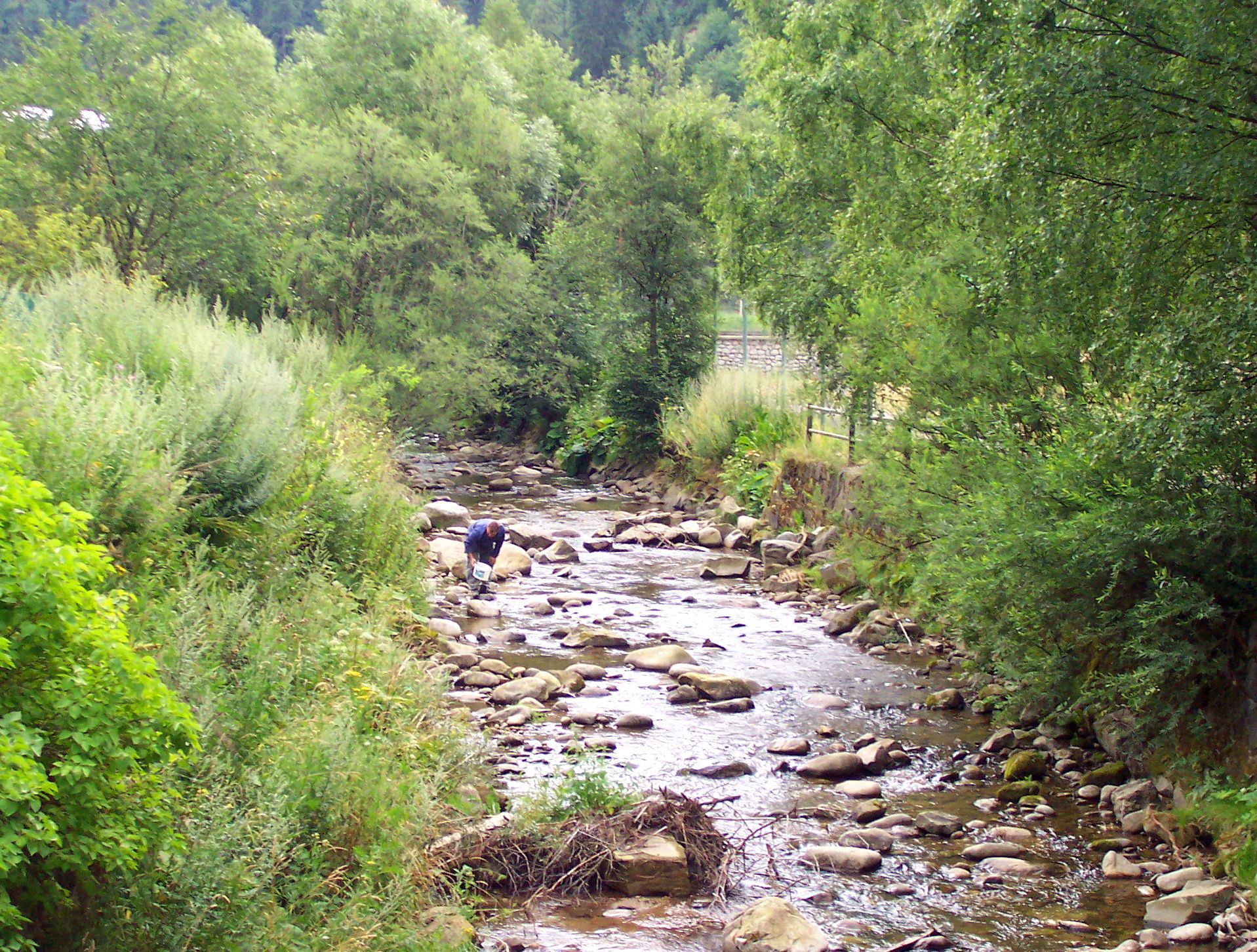 Blatná creek at Habovka village. Orava, Slovakia