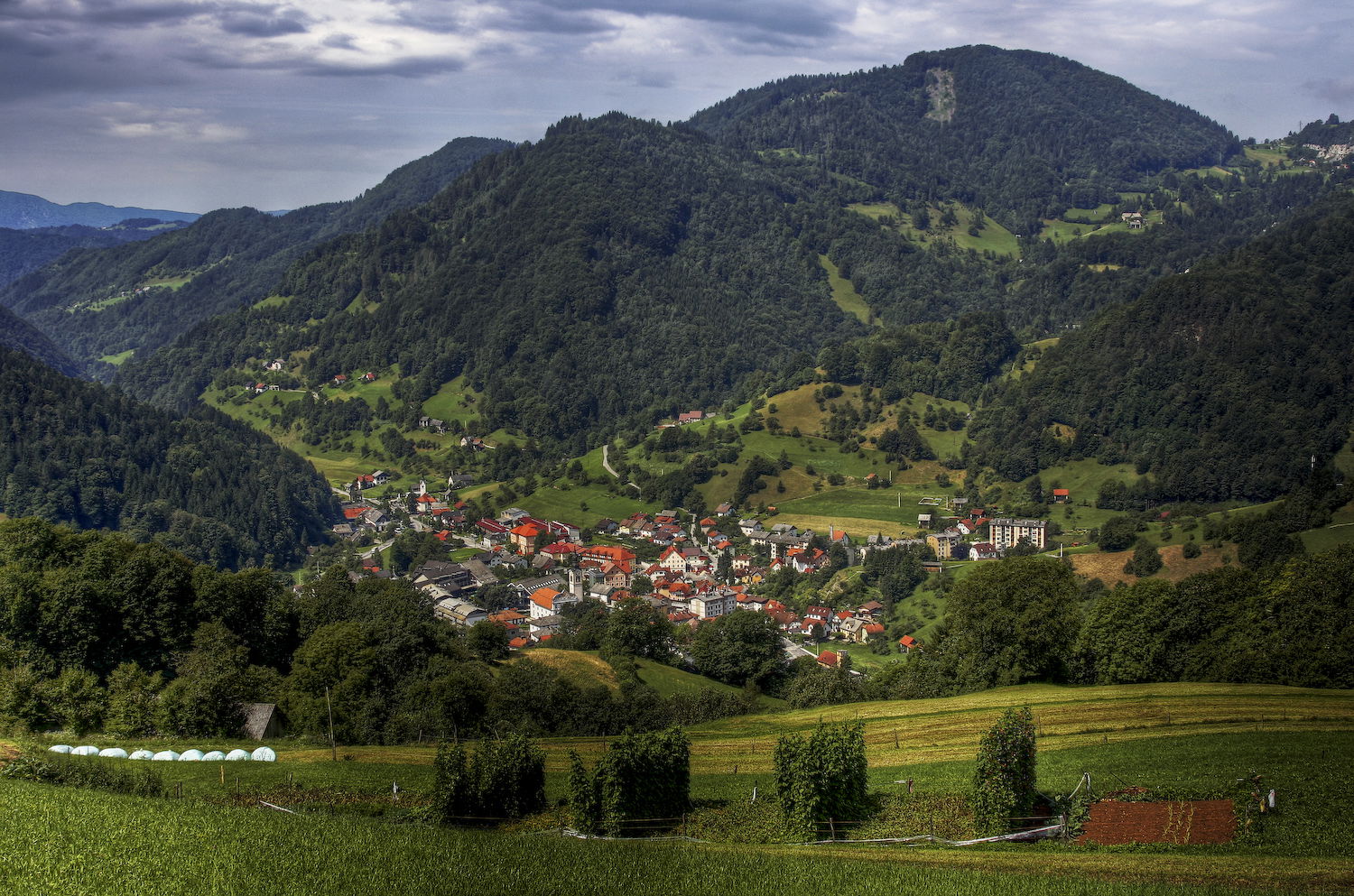 Cerkno