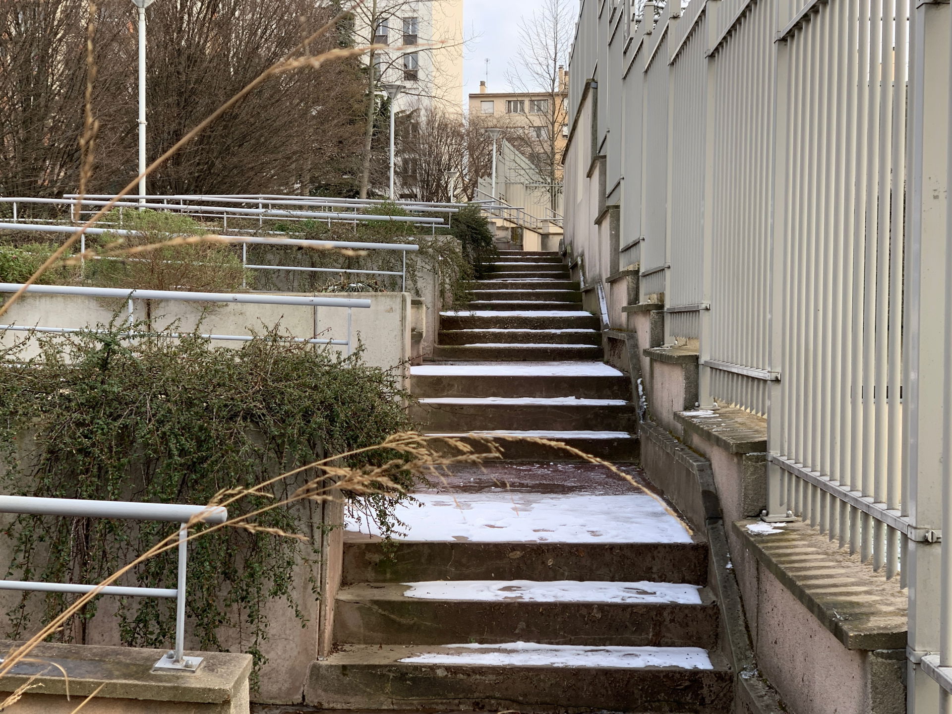 Allée Mahaut d'Artois, Charenton-le-Pont.