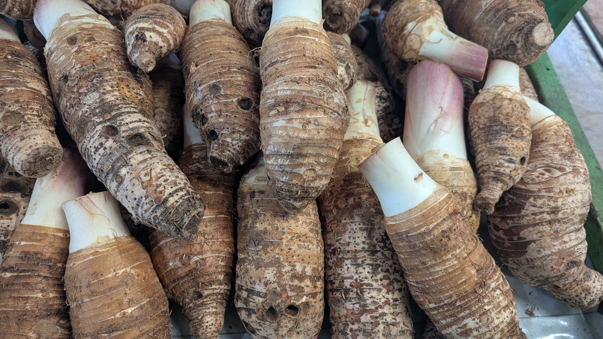 Taro in the food market in Kolonia