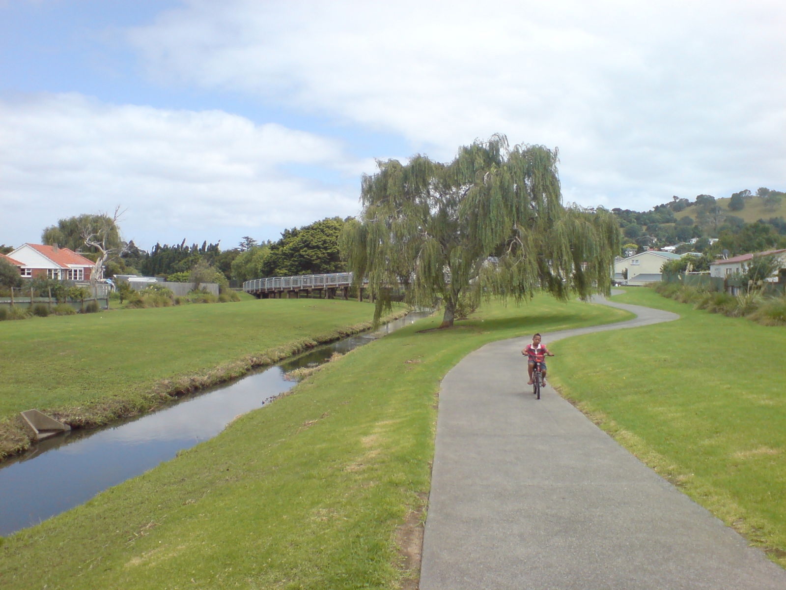 Underwood Park in Auckland, New Zealand. The agressively channe…