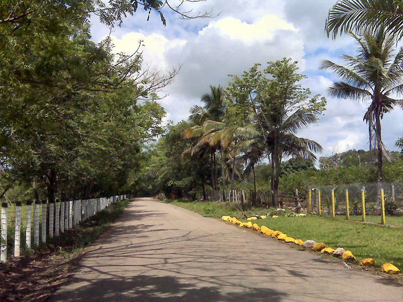 Bayaguana, Republica Dominicana, carretera de campaña