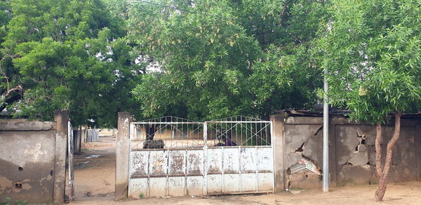N'Djamena