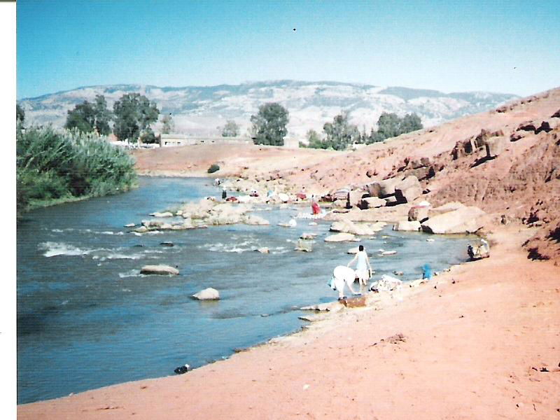 license: GFDL
photo personnelle de Hadraj
prise de vue à Khéni…