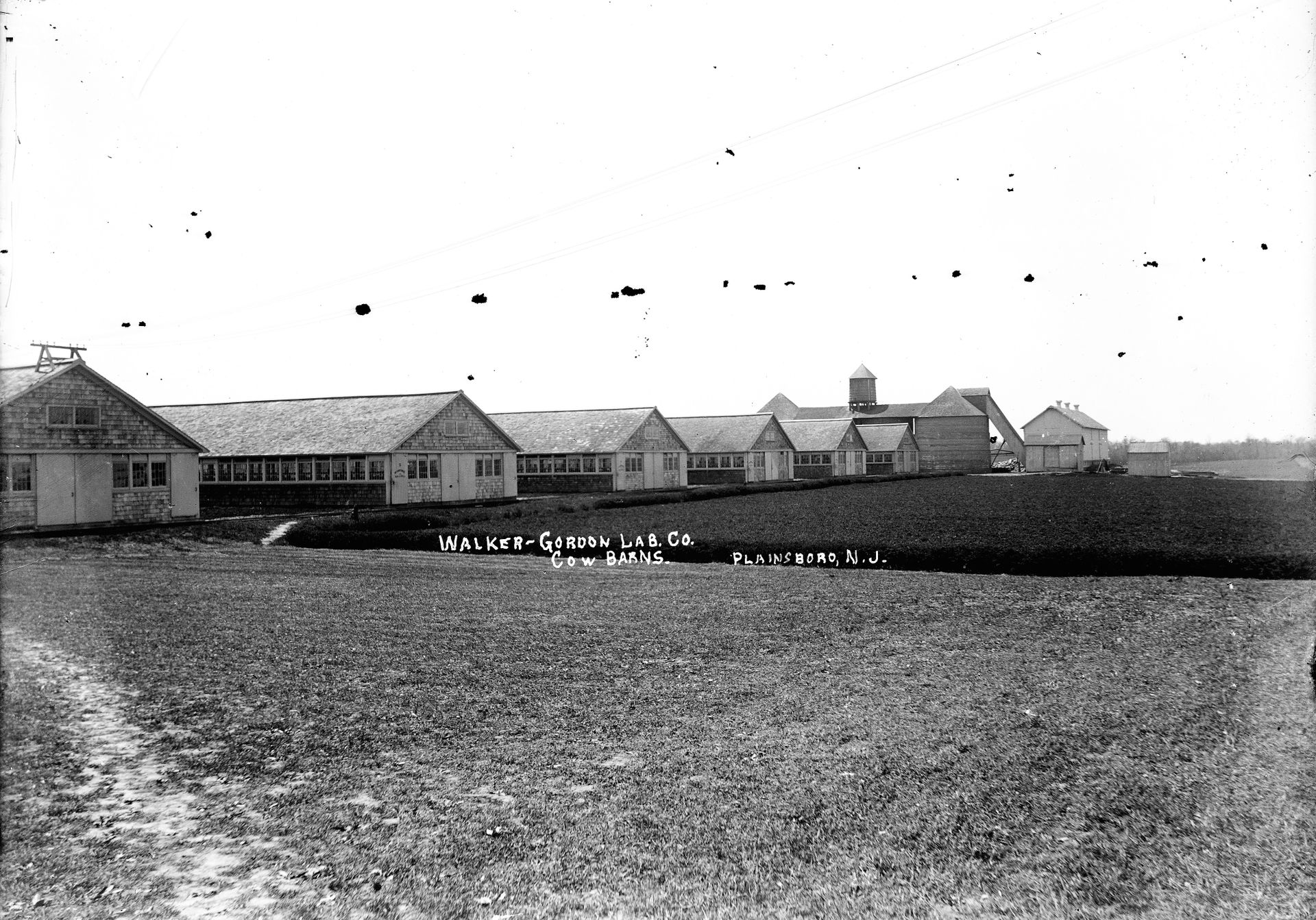 Scan from glass negative. Photographs taken by A .L. Opdyke of…