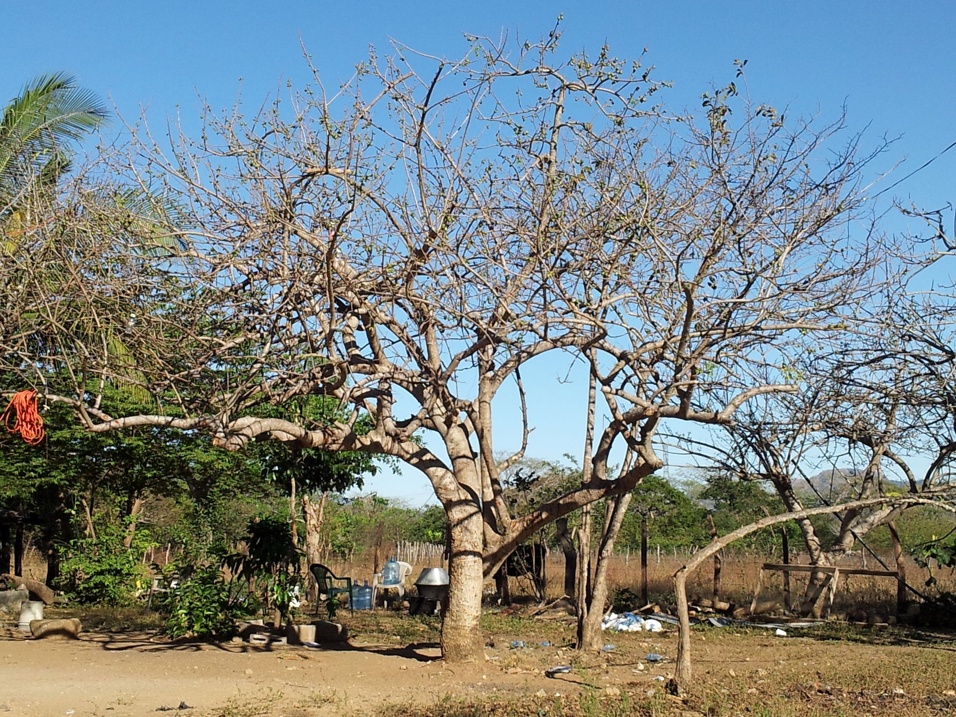 Jocoro, El Salvador