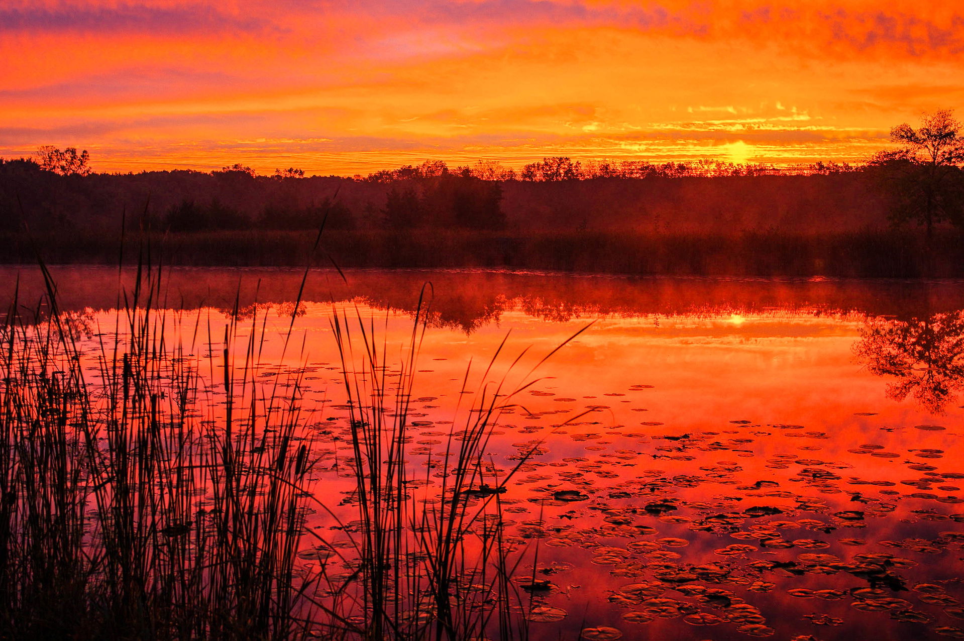 Vernon Hills, IL