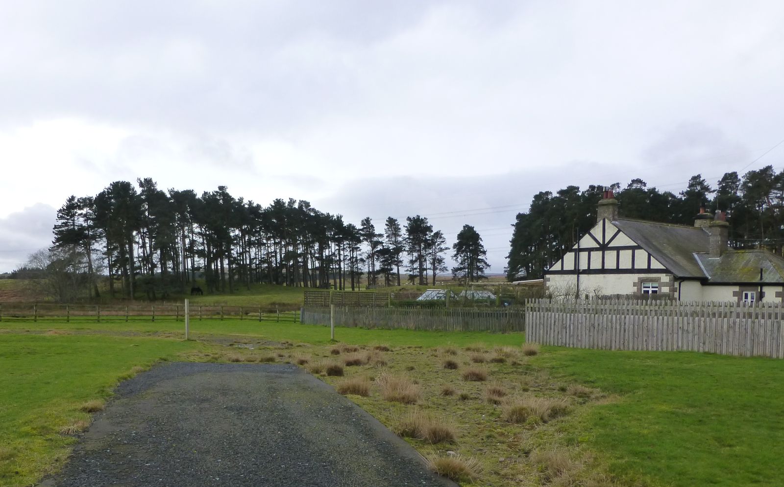 Ilderton Moor