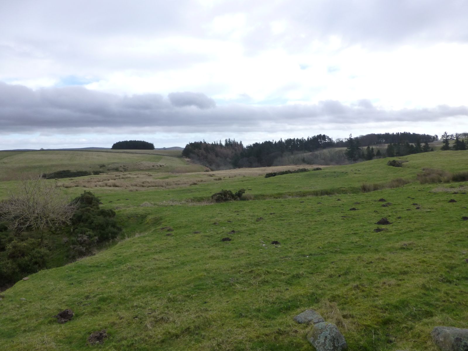 Ilderton Moor