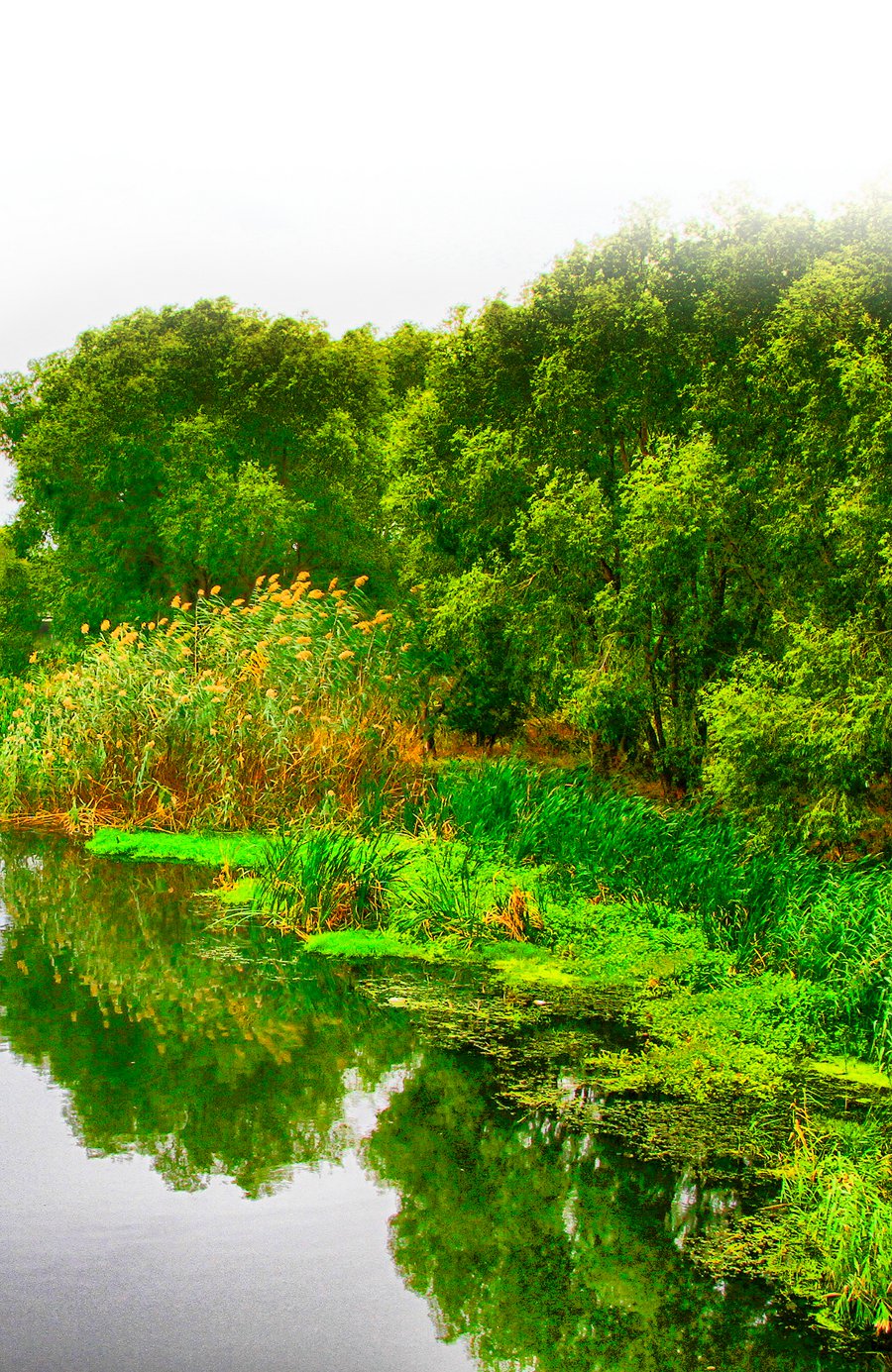 Aheloy river in the Pomorie region