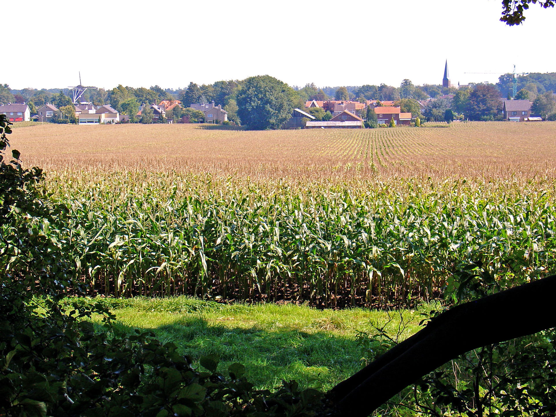 View of Hellendoorn from the west