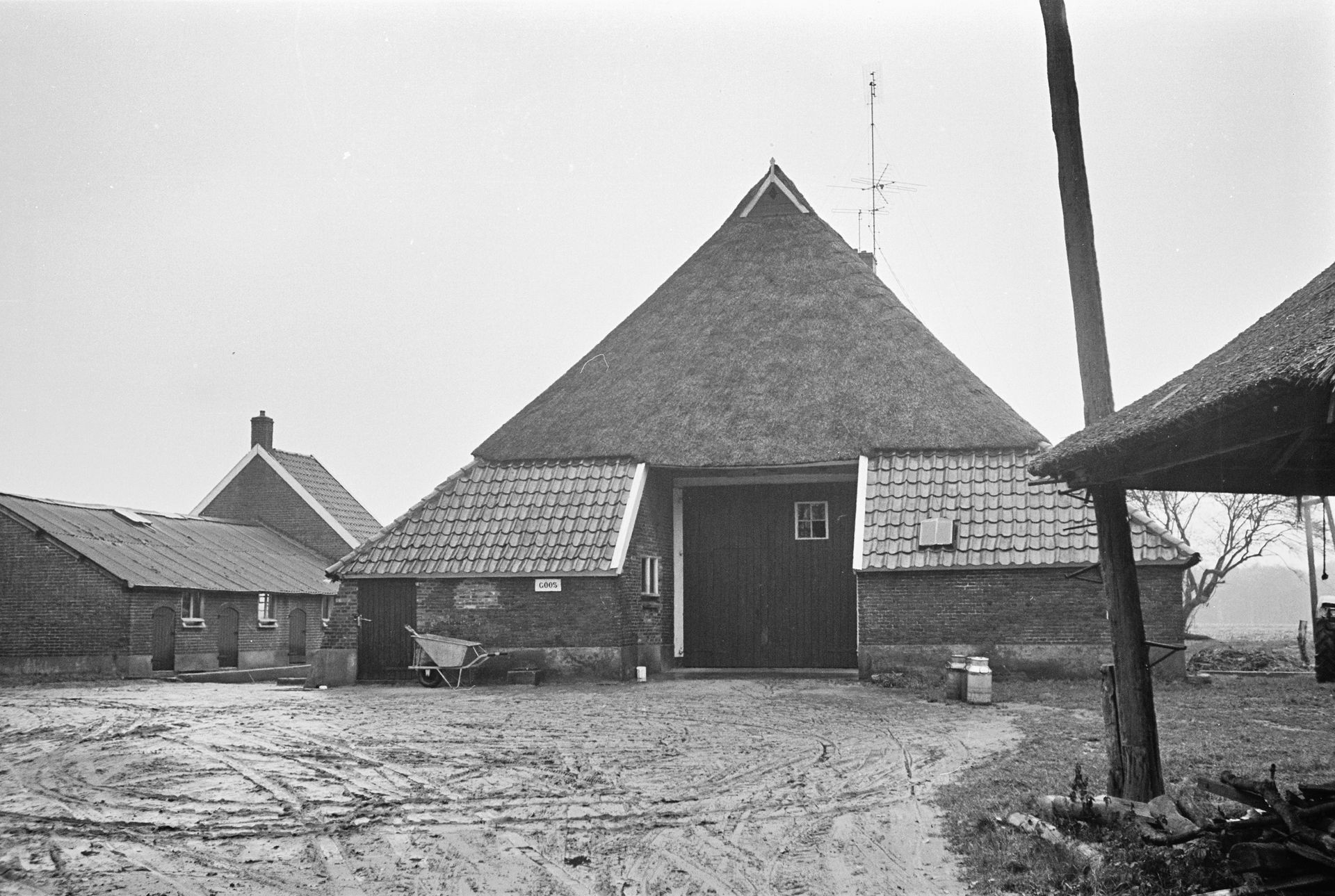 View of "Goos"