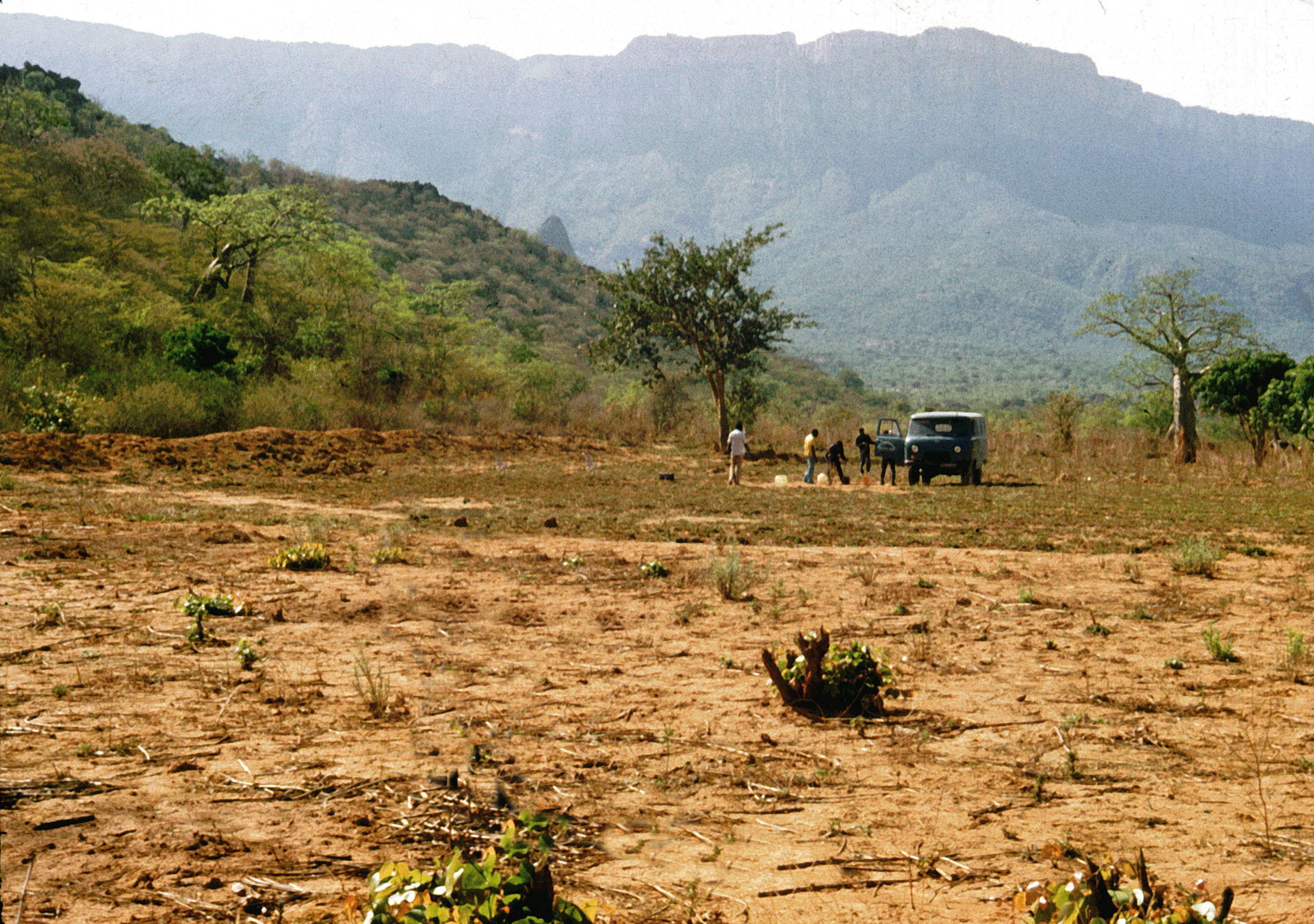 Bibala, landscape