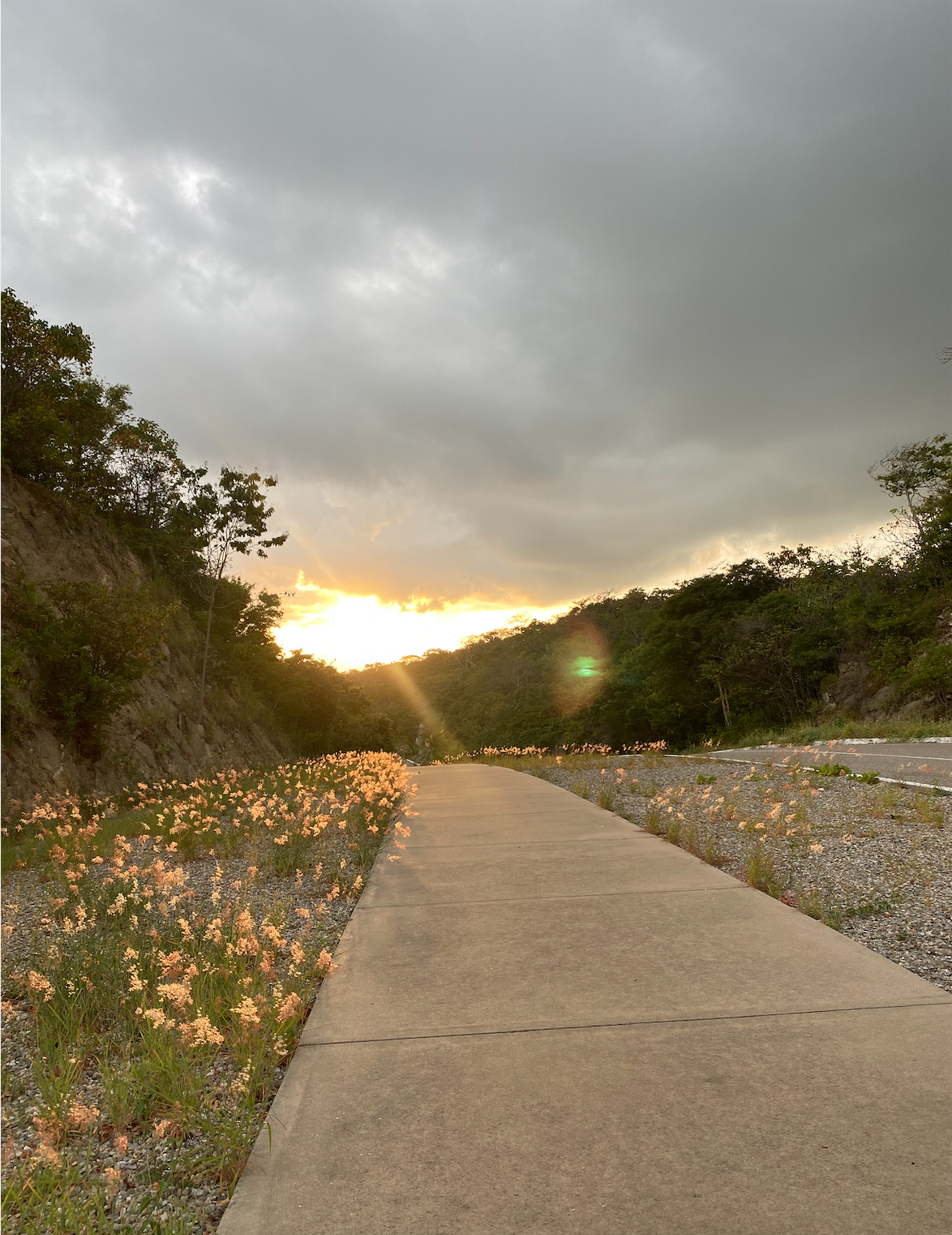 Scenic road in Huatulco