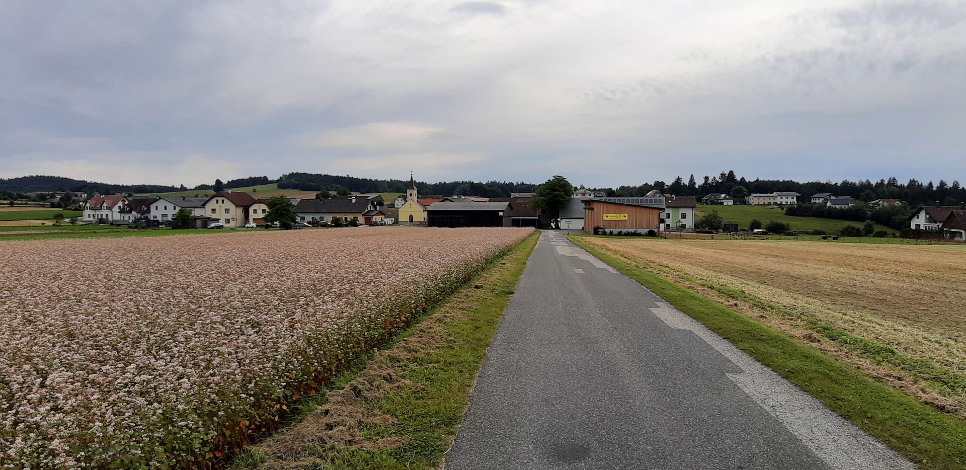 Blick auf Dietmanns bei Traunstein