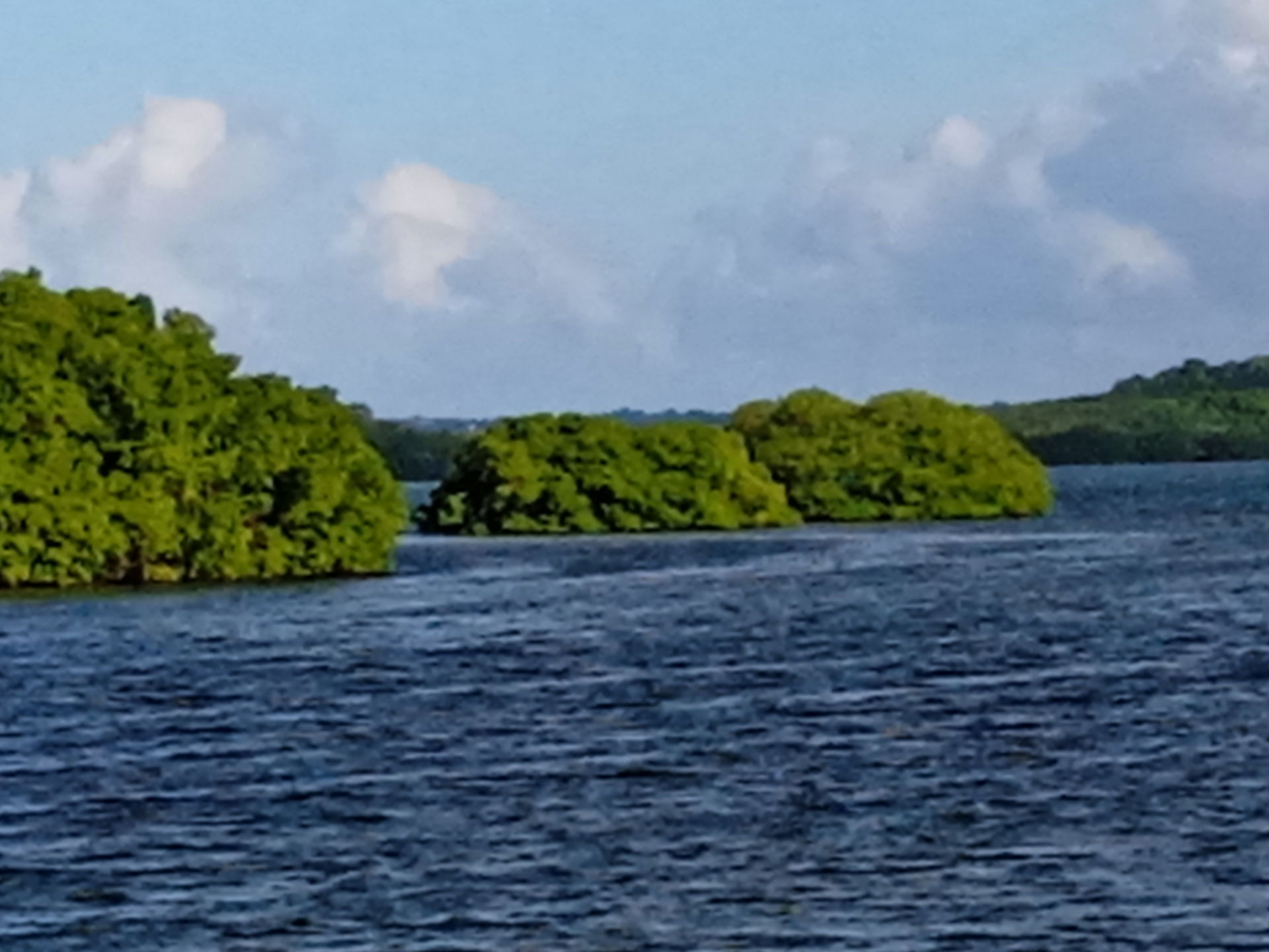 îlet Rat (Morne-à-l'eau)