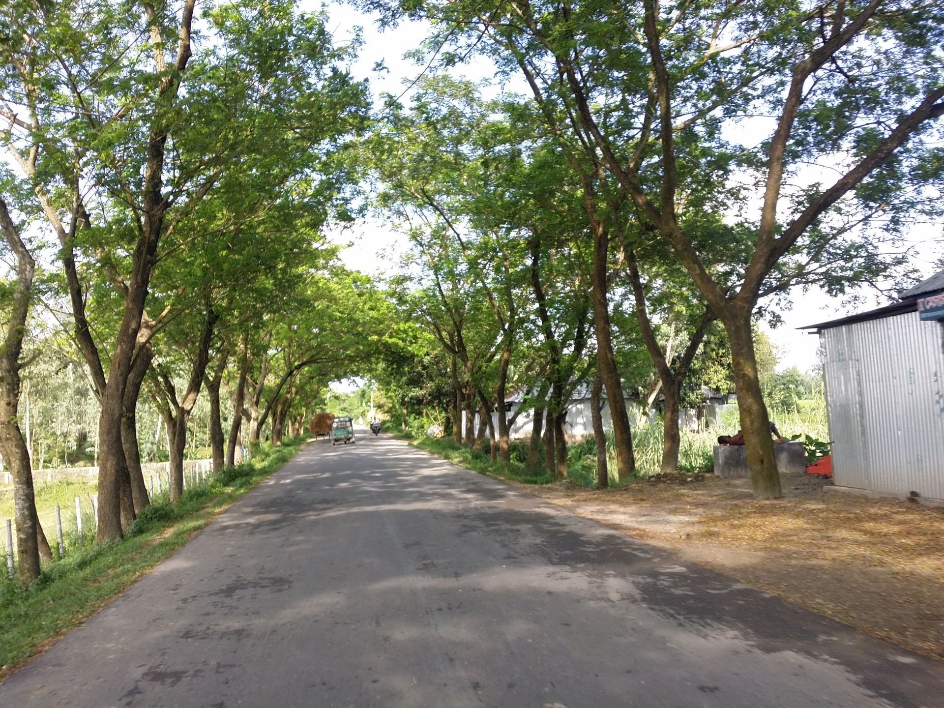 Sherpur Upazila, Bangladesh