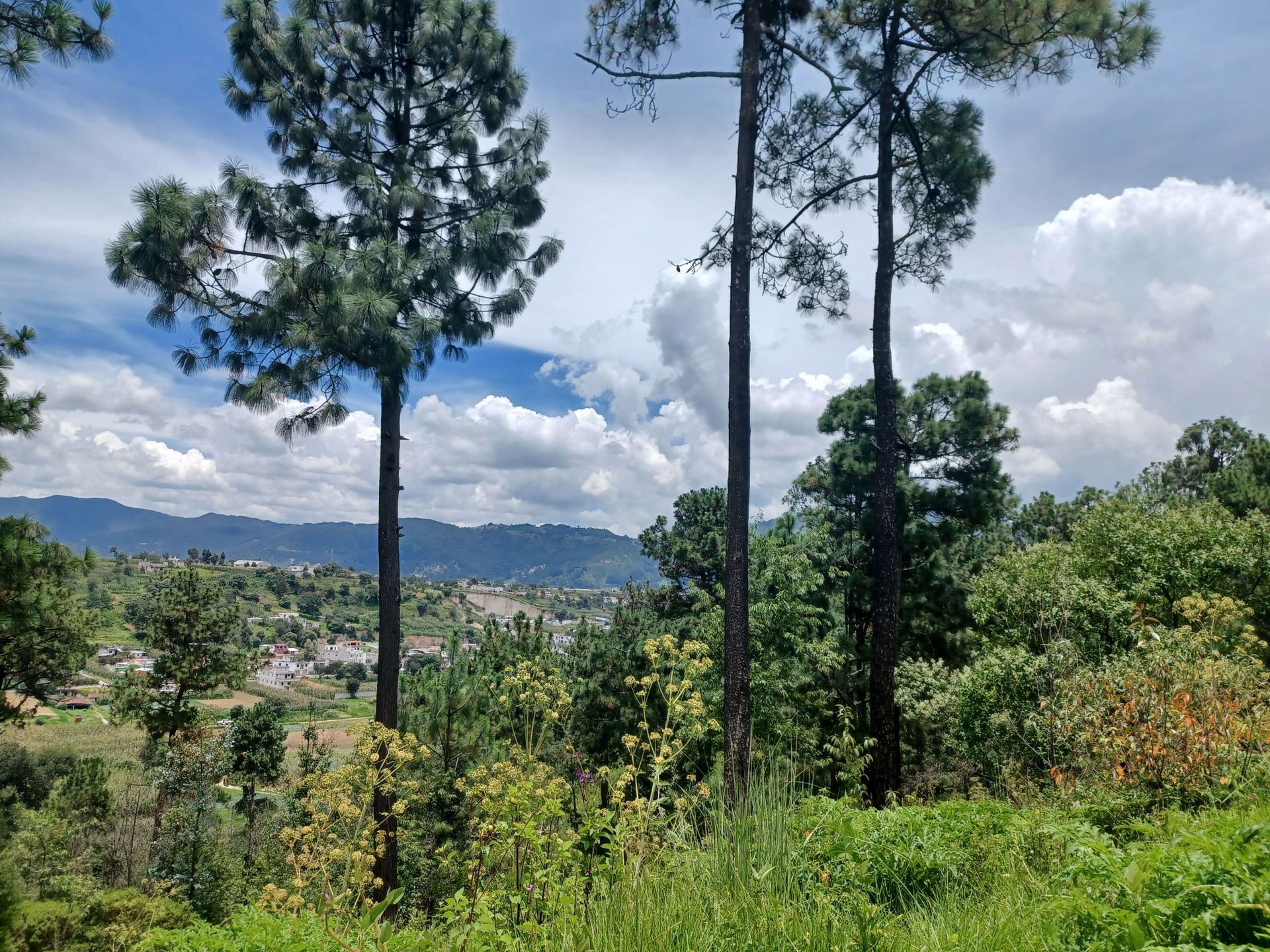 Countryside between Canton Chitay and Chiquilaja, Quetzaltenang…