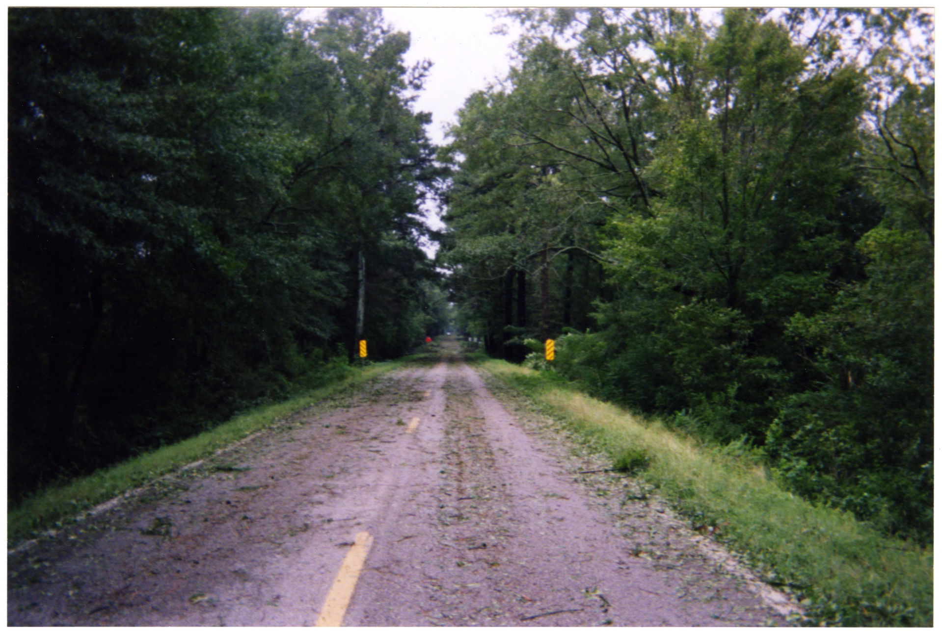 Collection: Hurricane Katrina Photographs
Call number: PI/2005.…