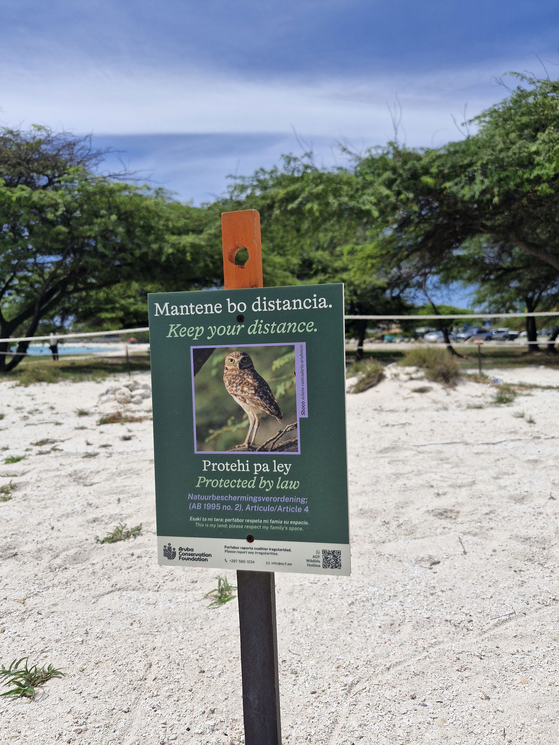 Bushiri beach, Oranjestad Aruba