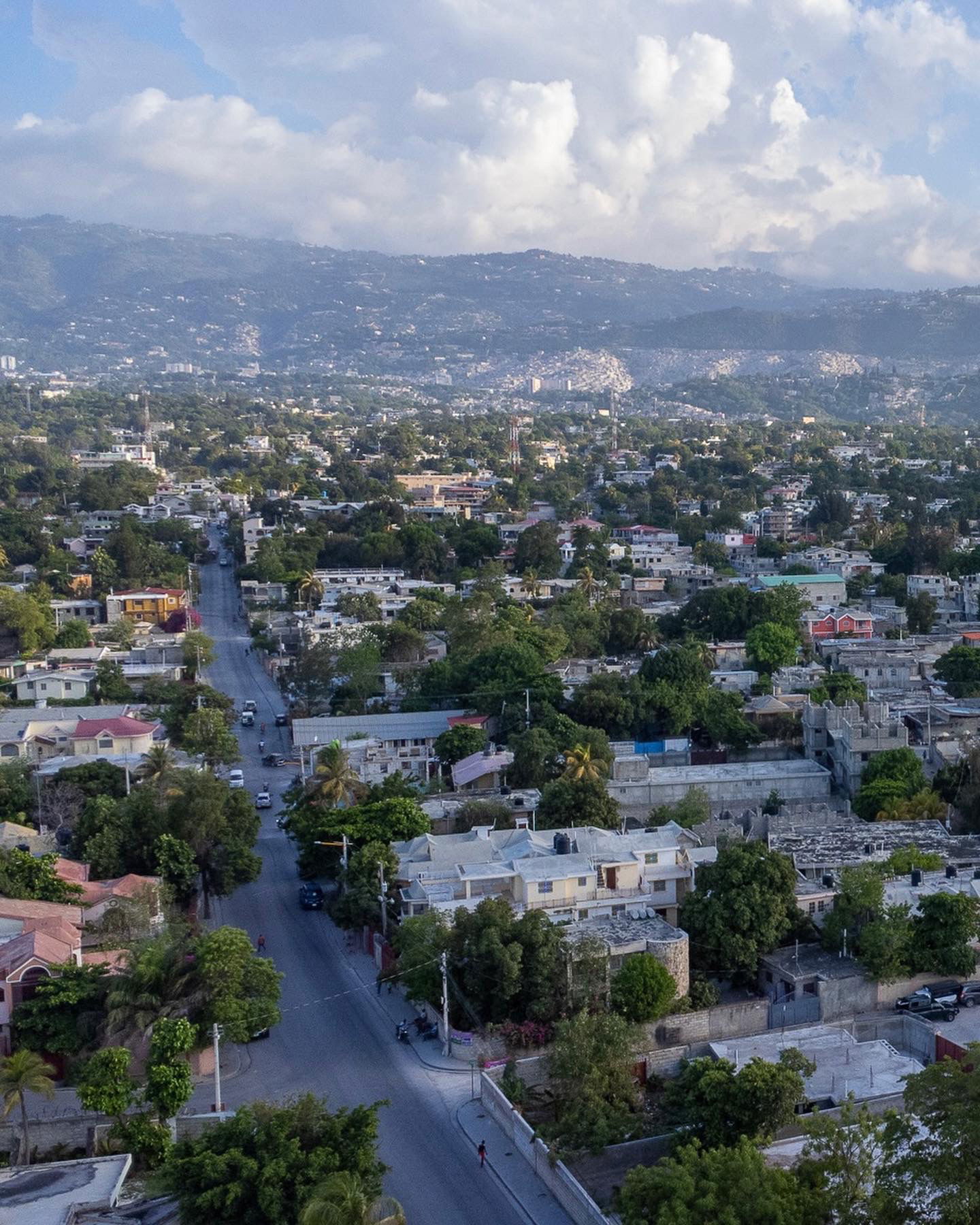 Ariel view of Delmas 75 from Rue Catalpa