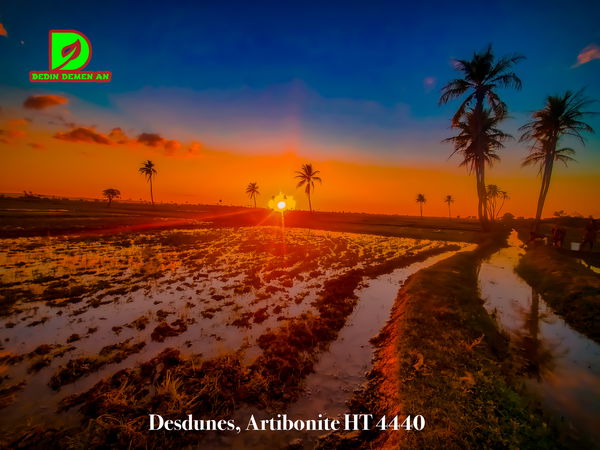 Desdunes