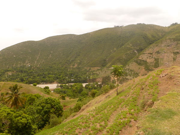 Leogane