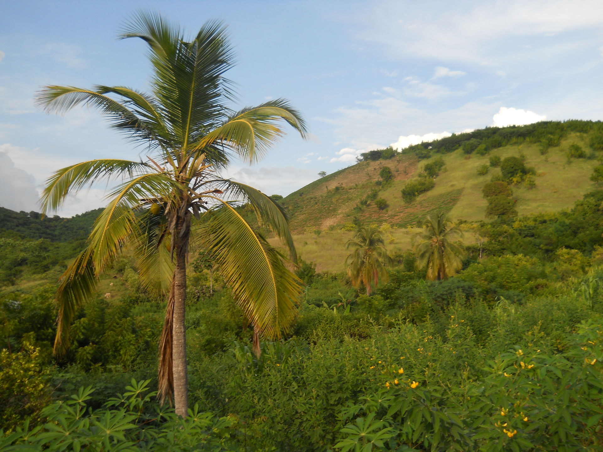 Zanglais, Haiti