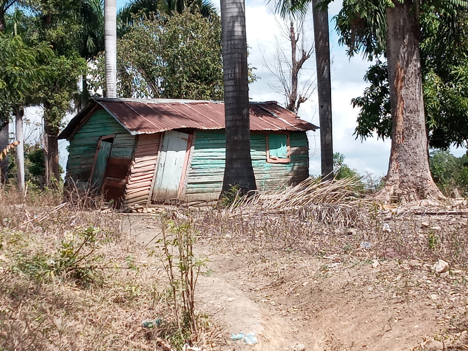 This is an image with the theme "Home + Habitat in Africa" from: