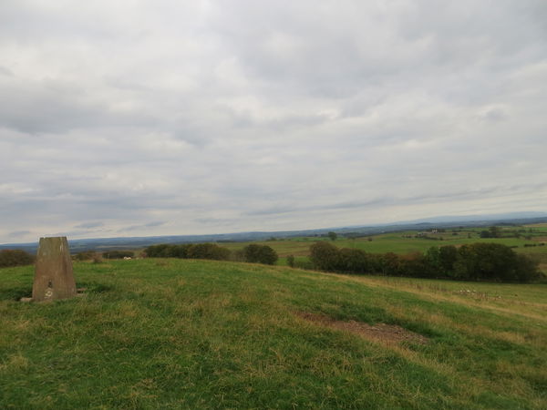 Torbeck