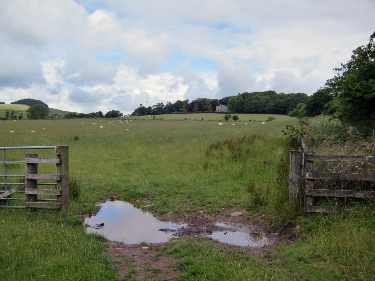 Grazing land towards Torbeck Hill