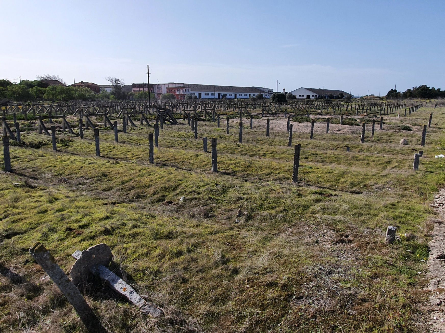 Secadouro de Alcochete, antigo secadouro de bacalhau, em Alcoch…