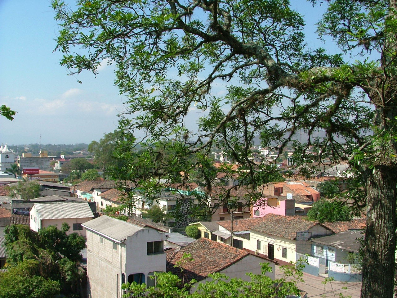 Dyer, personal collection. Overlooking Barrio El Centro from La…