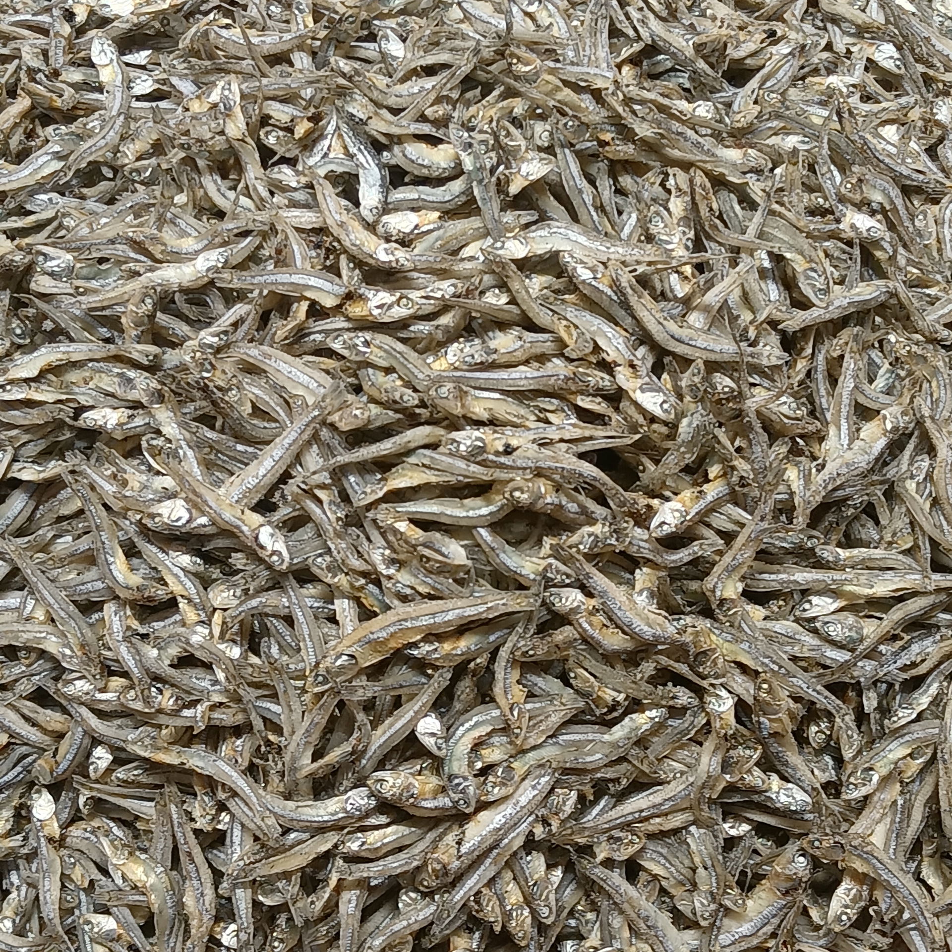 Dried sea anchovies