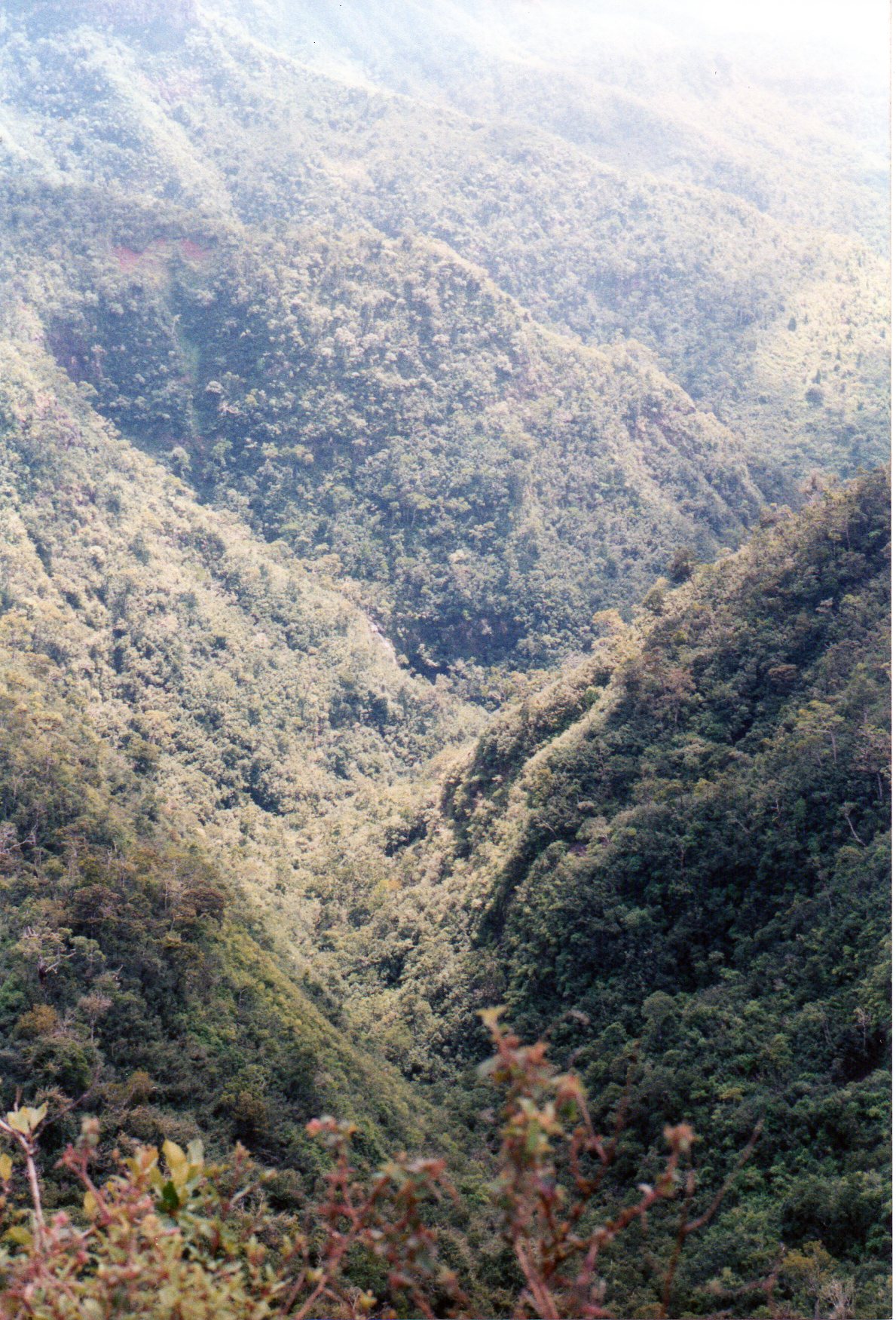 Rivière Noire