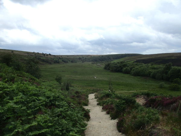 Bog Walk