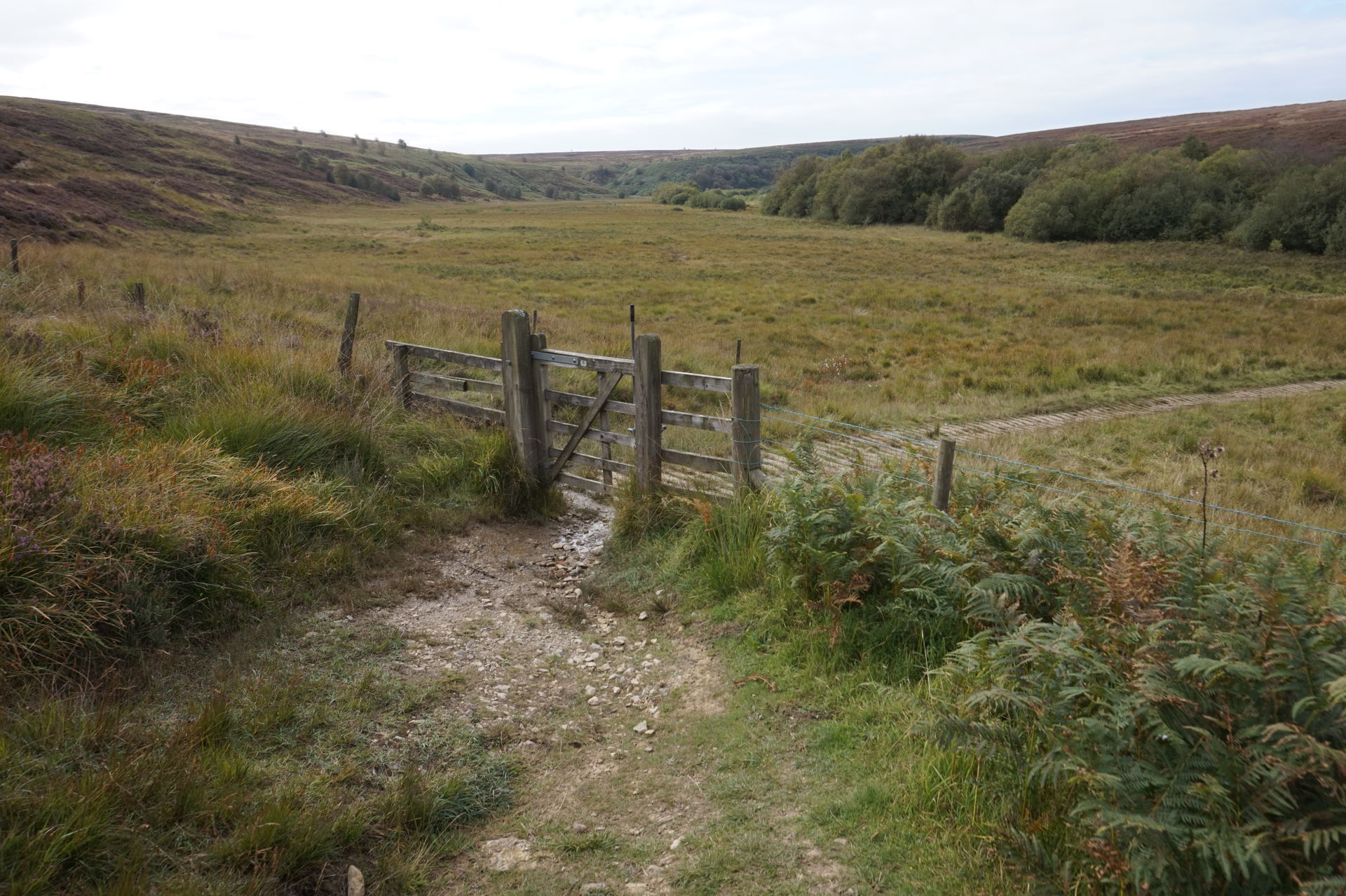 Lyke Wyke Walk towards Fen Bog