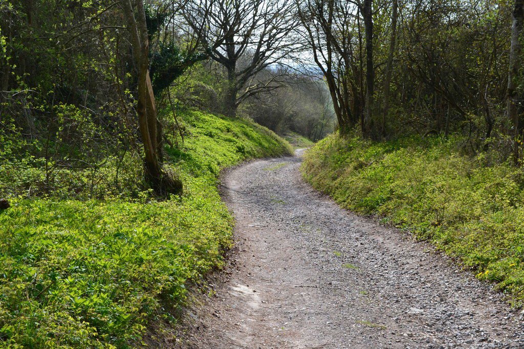 Clarendon Way downhill from Clarendon Palace
