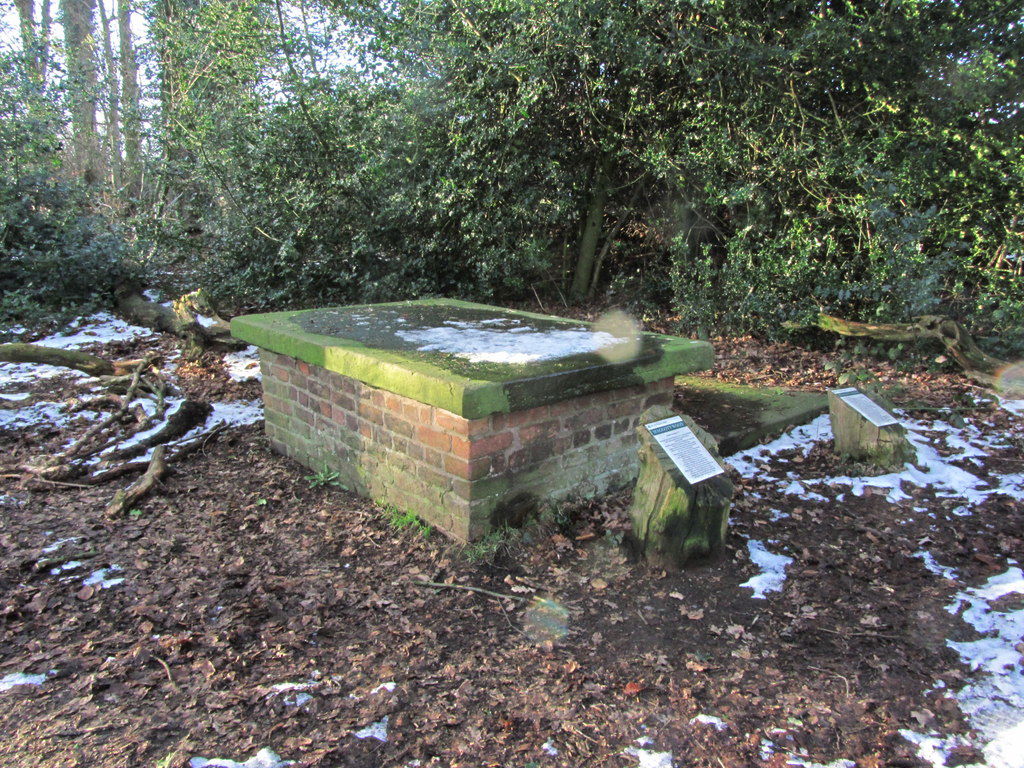 Maggotty Johnson grave, Gawsworth