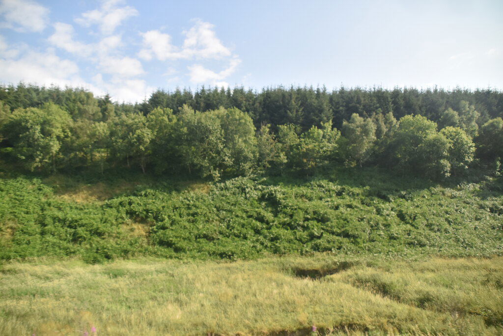 Stony Hill