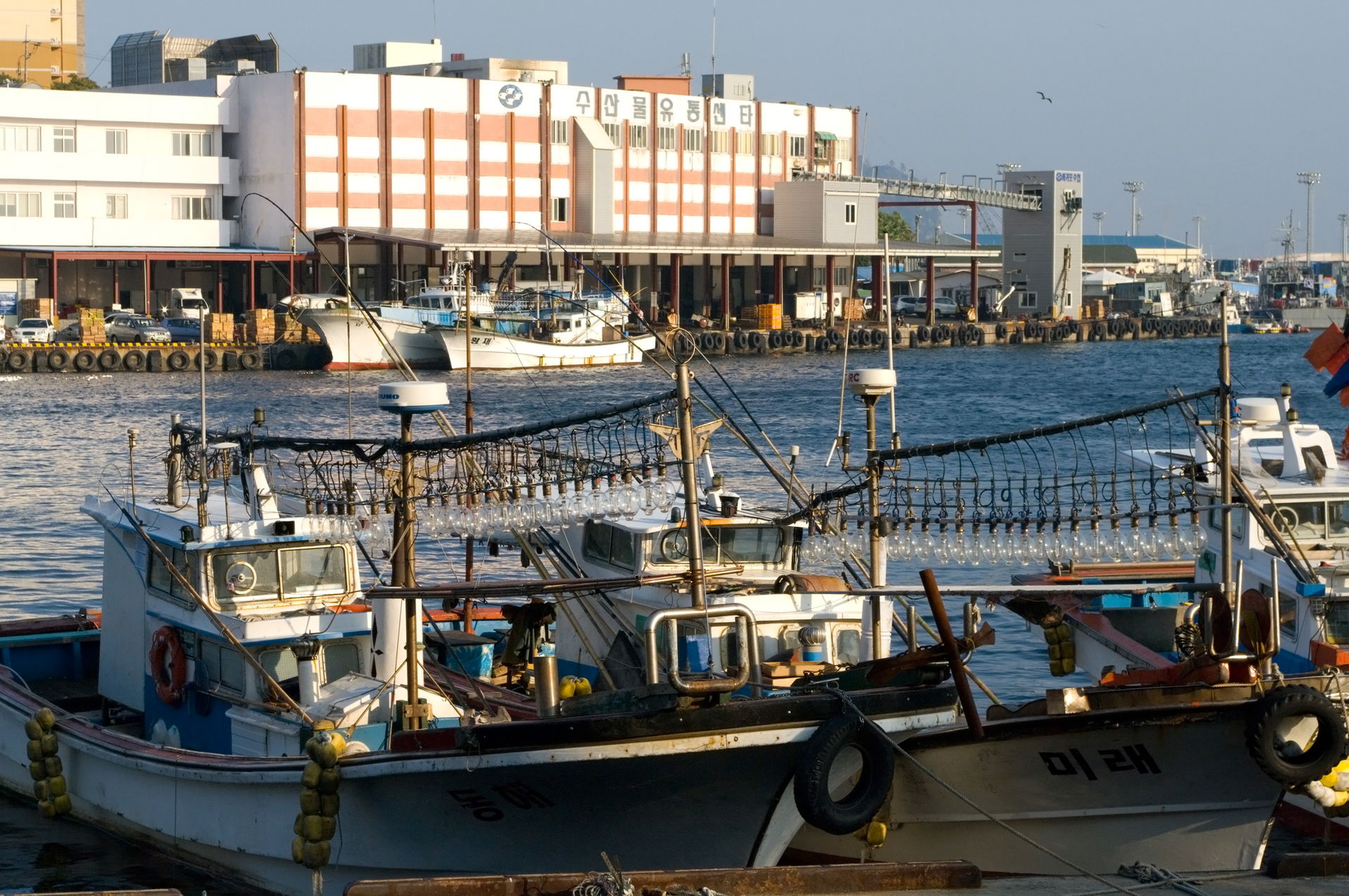 Some squid boats in Seogwipo City on Jeju. The boats go out at …