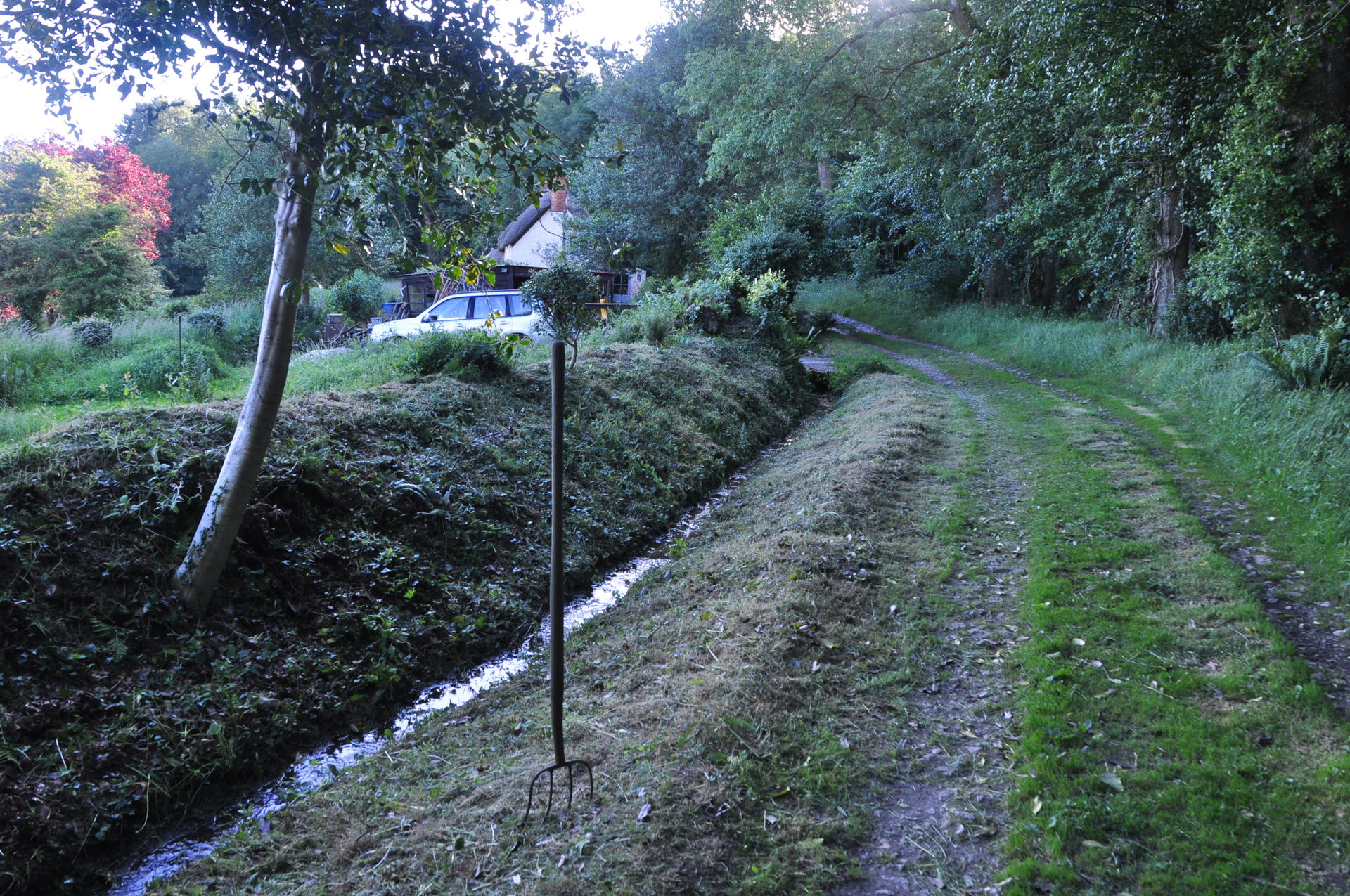 Mid Devon : Track on Culm Davy Hill