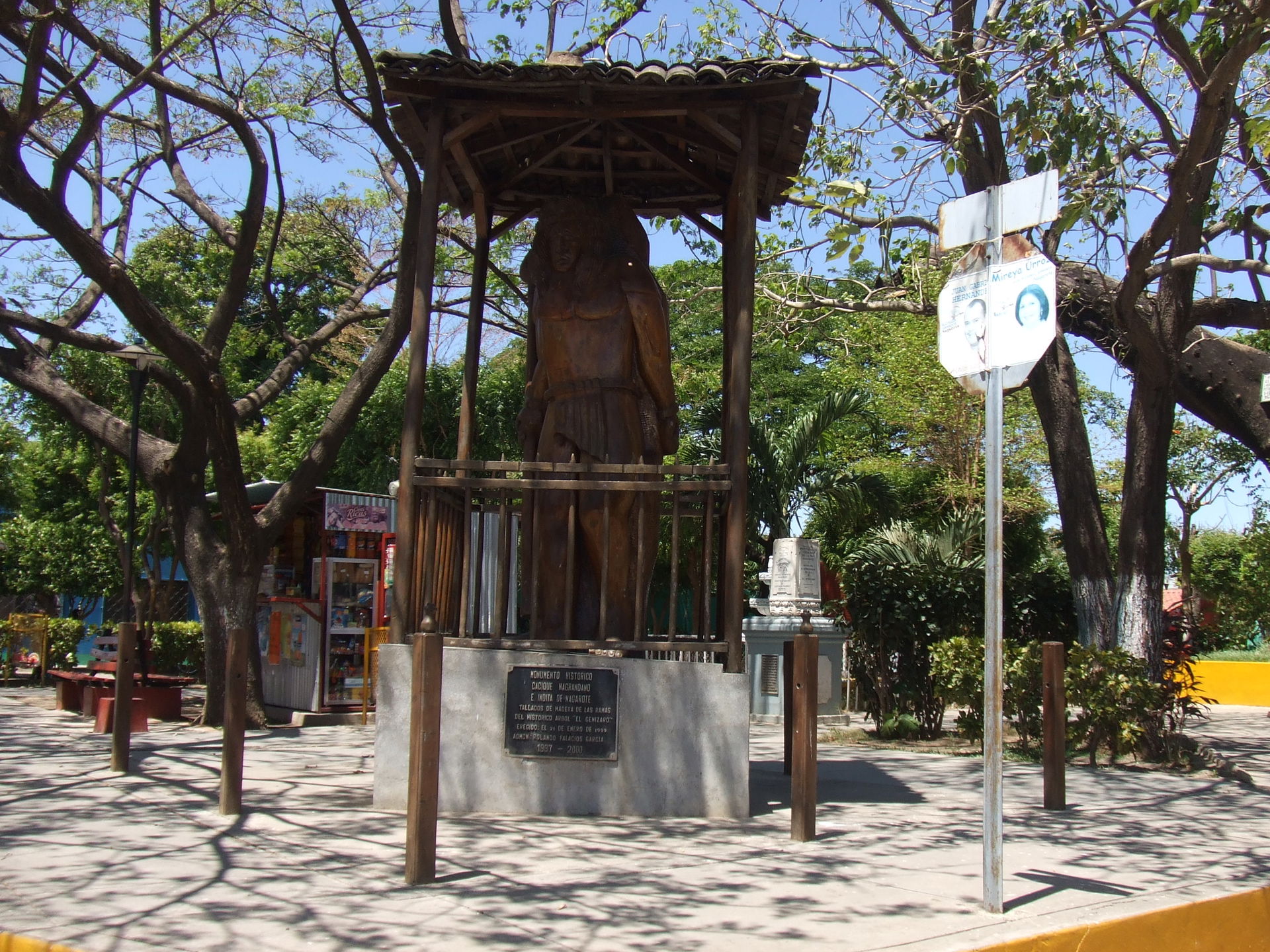 Cede del Milenario árbol el genizaro que data de hace mas de 11…
