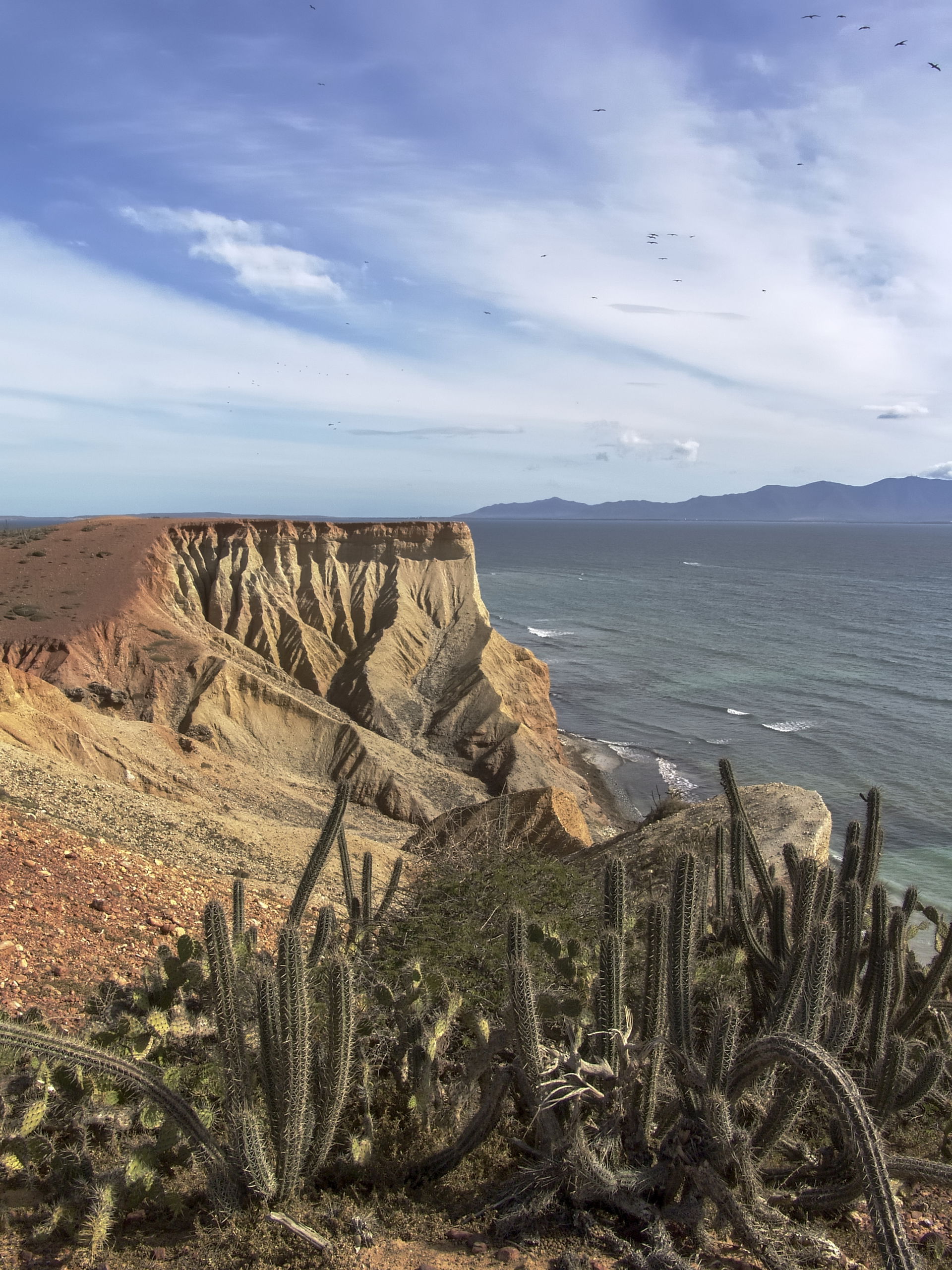 Sector El Coco, Isla de Coche, Nueva Esparta, Venezuela