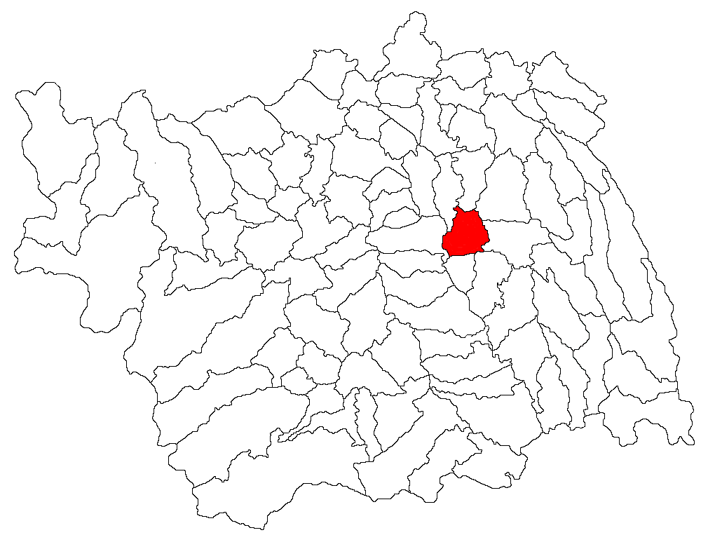 ro:Categorie:Hărţi ale judeţului Bacău