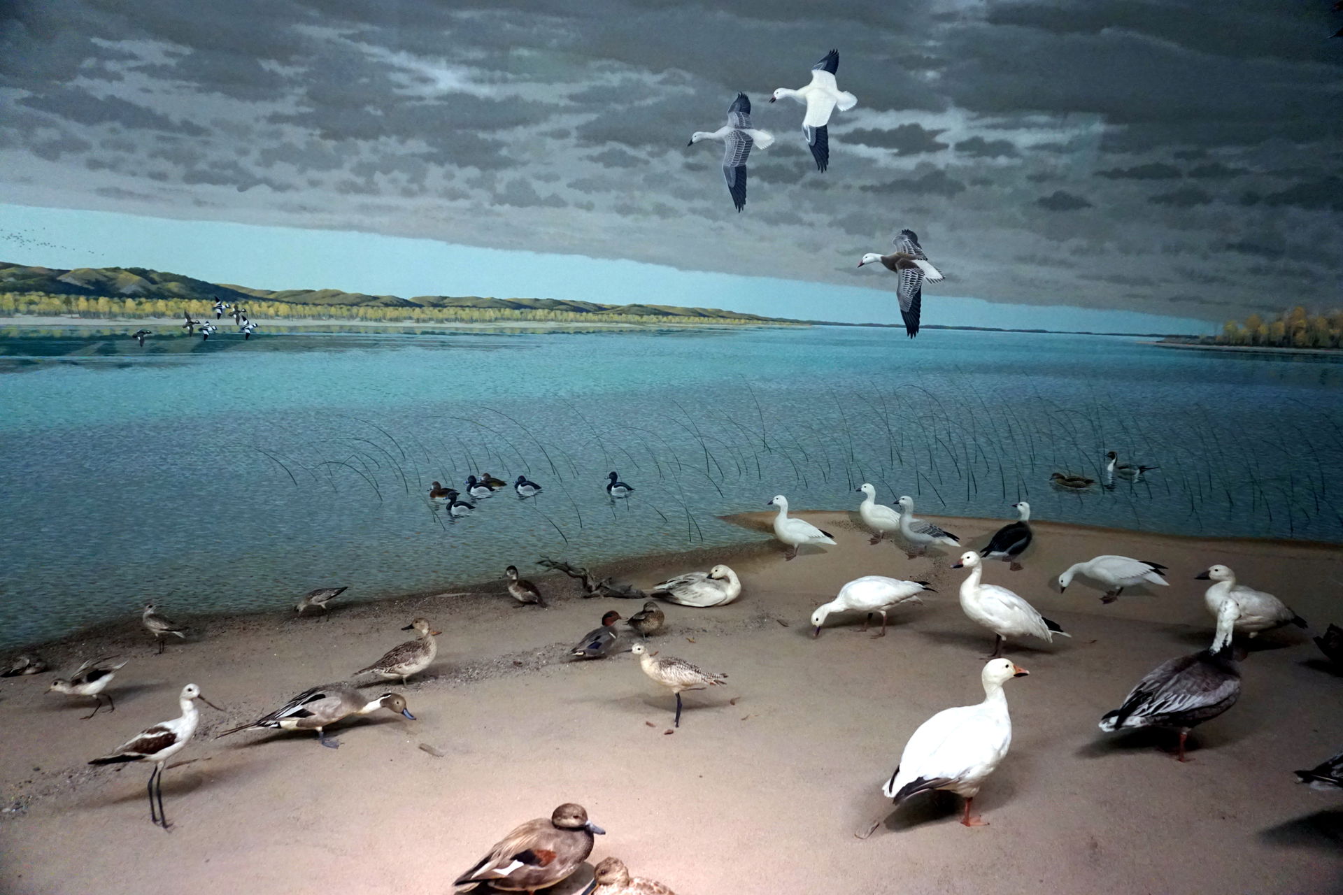 The A Prairie River: Near Yankton, South Dakota diorama at the …