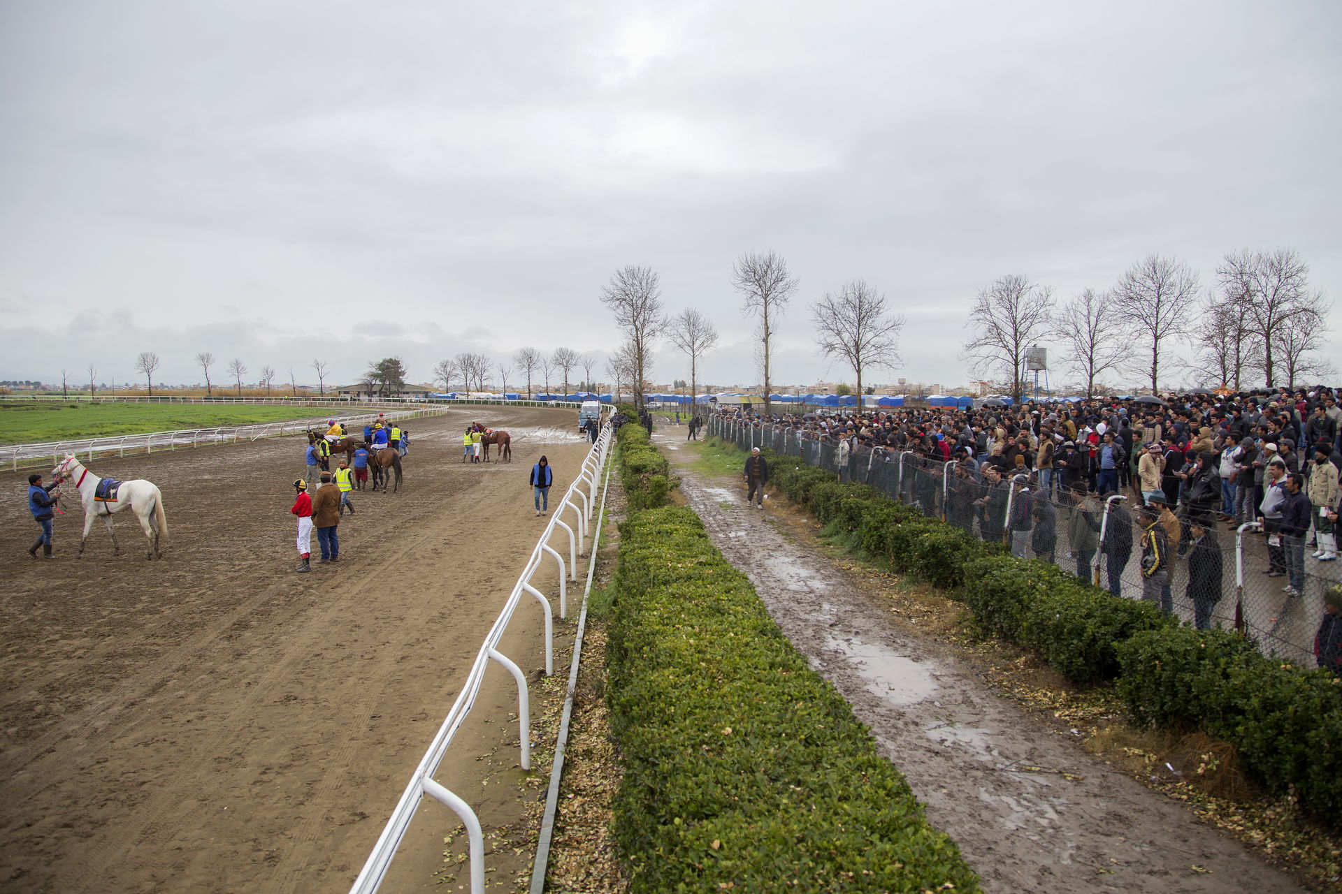Horse racing is an equestrian performance sport, typically invo…