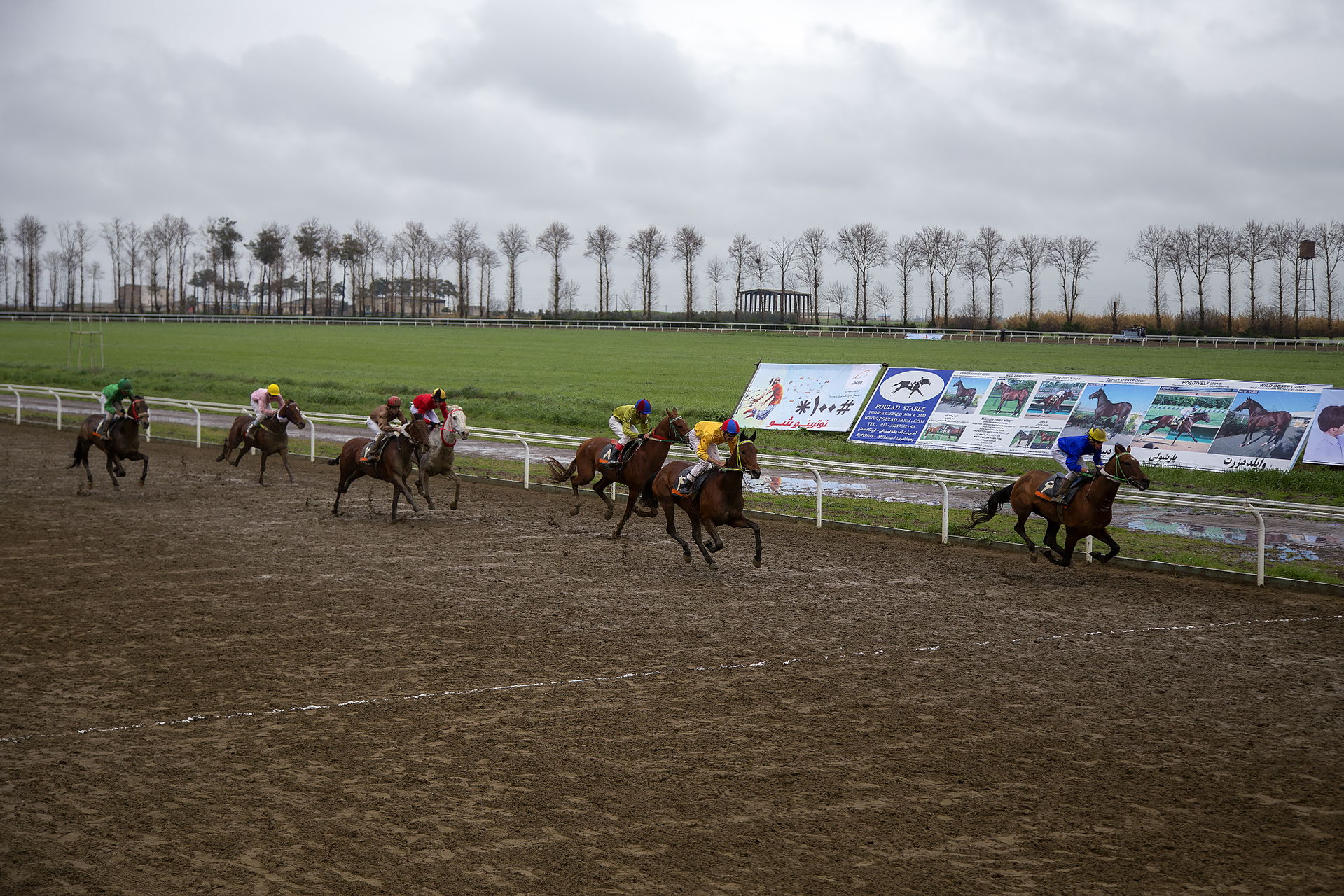 Horse racing is an equestrian performance sport, typically invo…