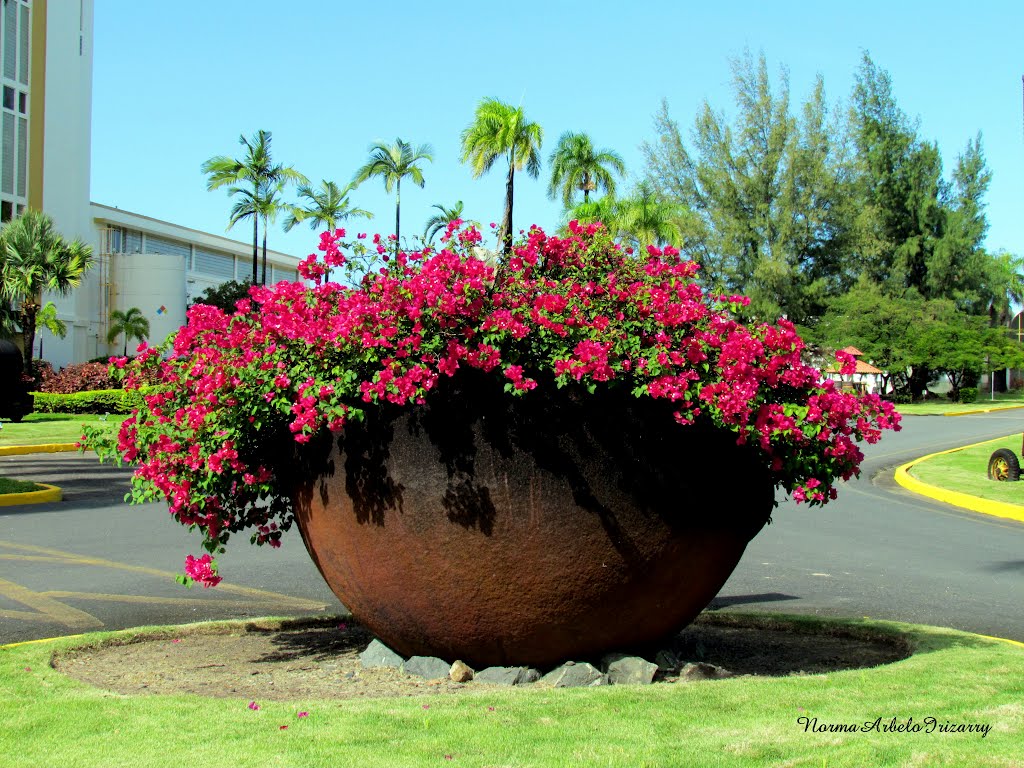Large planter in Palmas, Catano, Cataño, Puerto Rico
